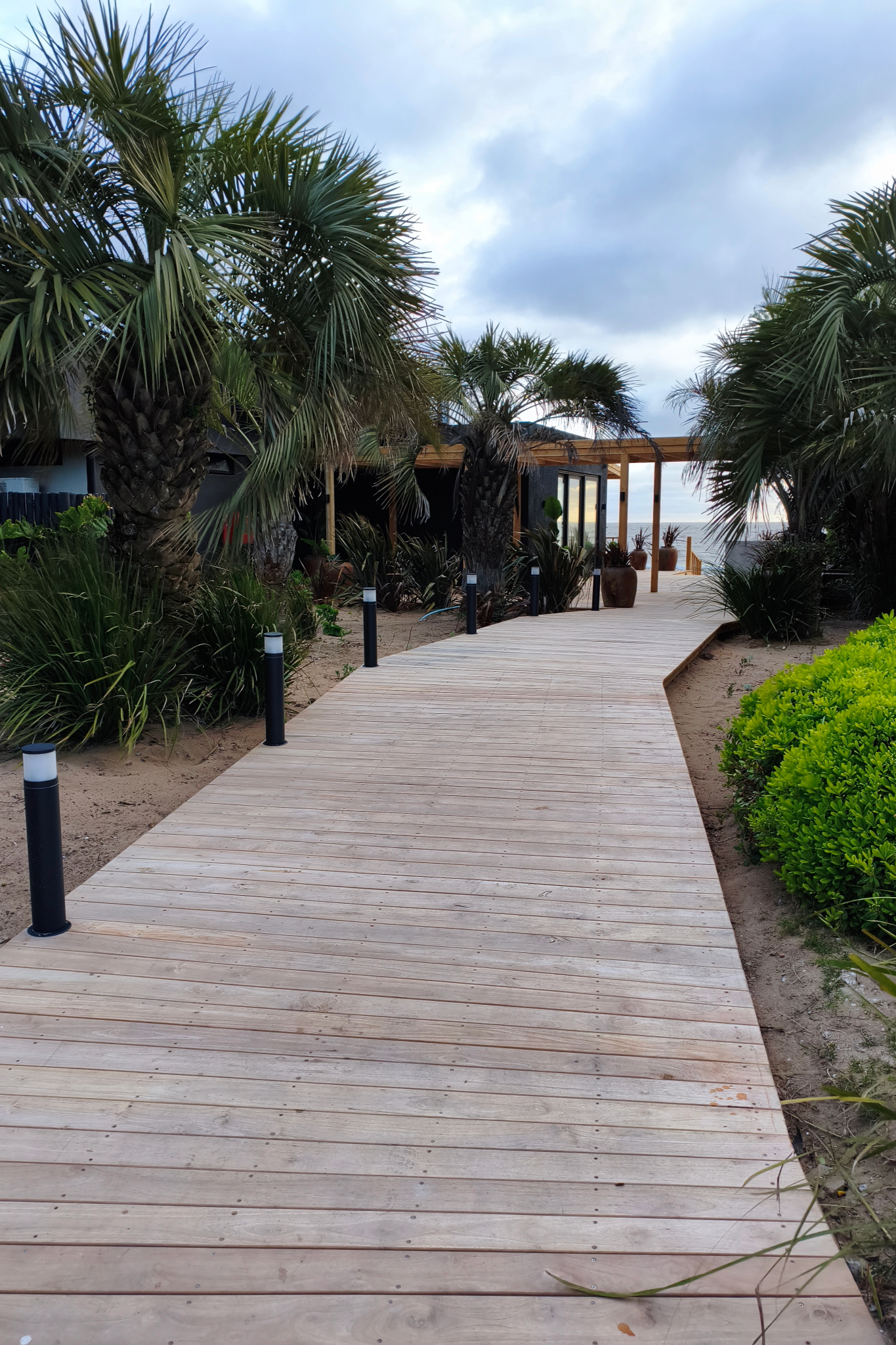 Wooden boardwalk leading to a beach, framed by palm trees.